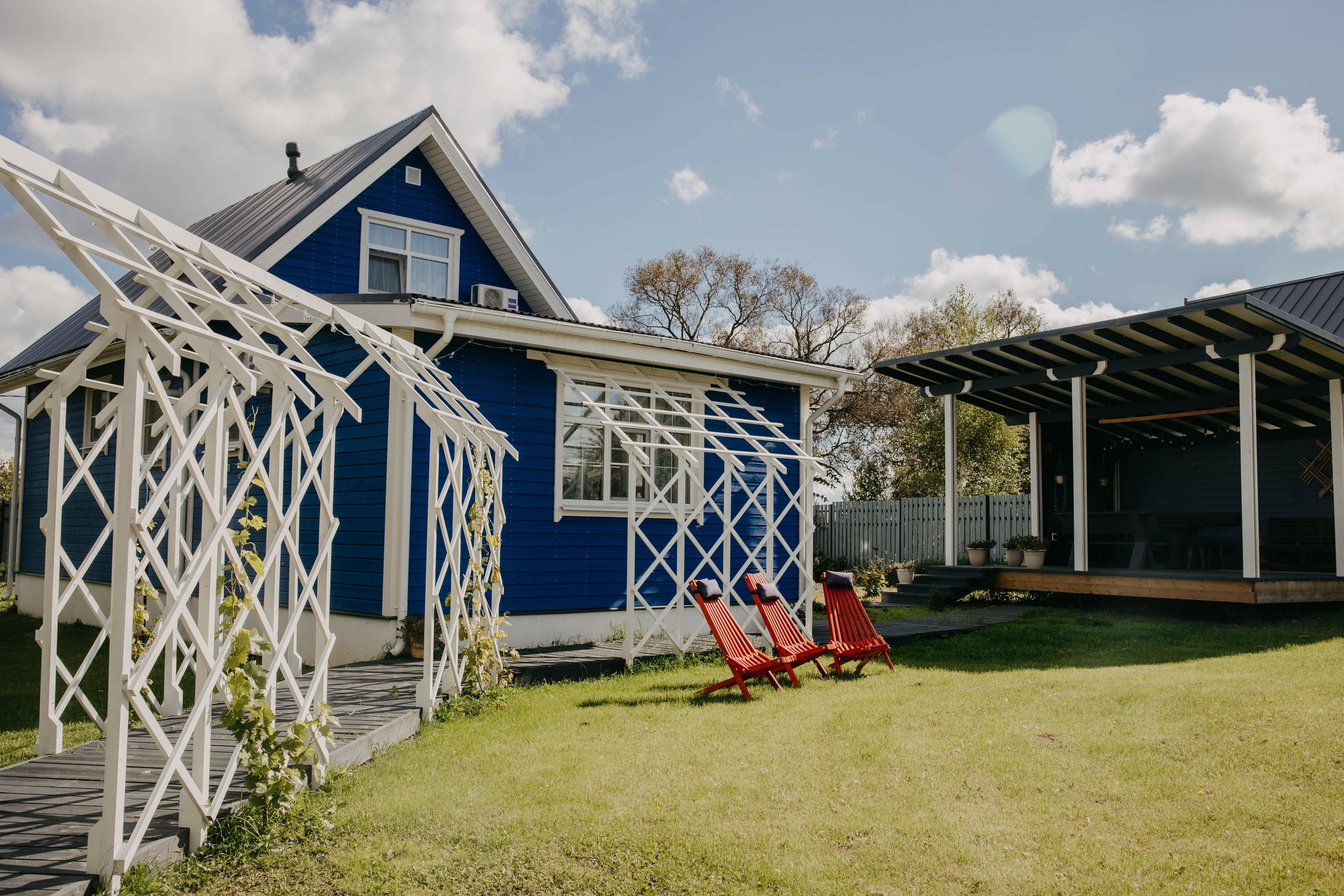 Фото Синяя синица