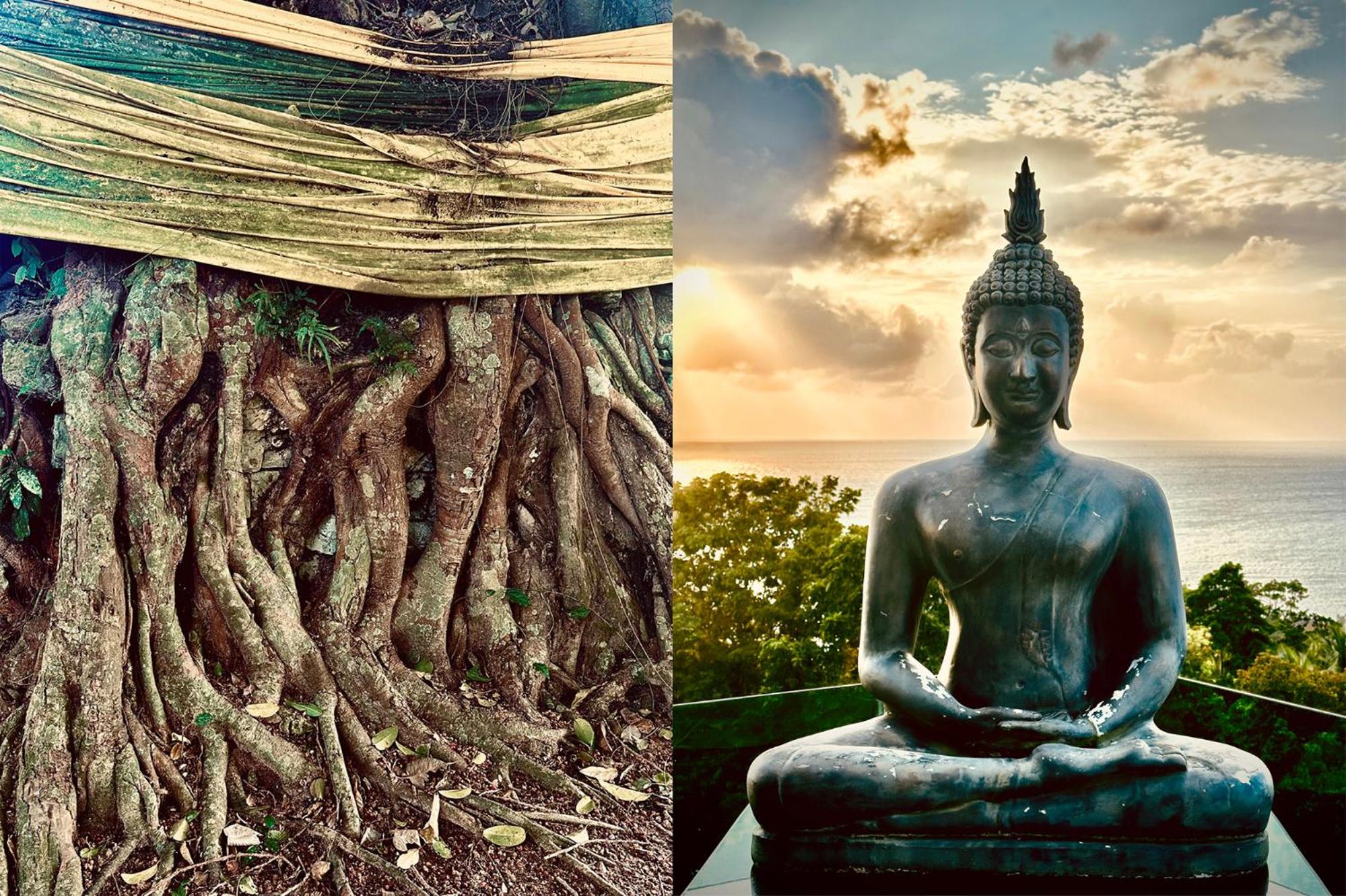 Фото Dreamville Koh Phangan