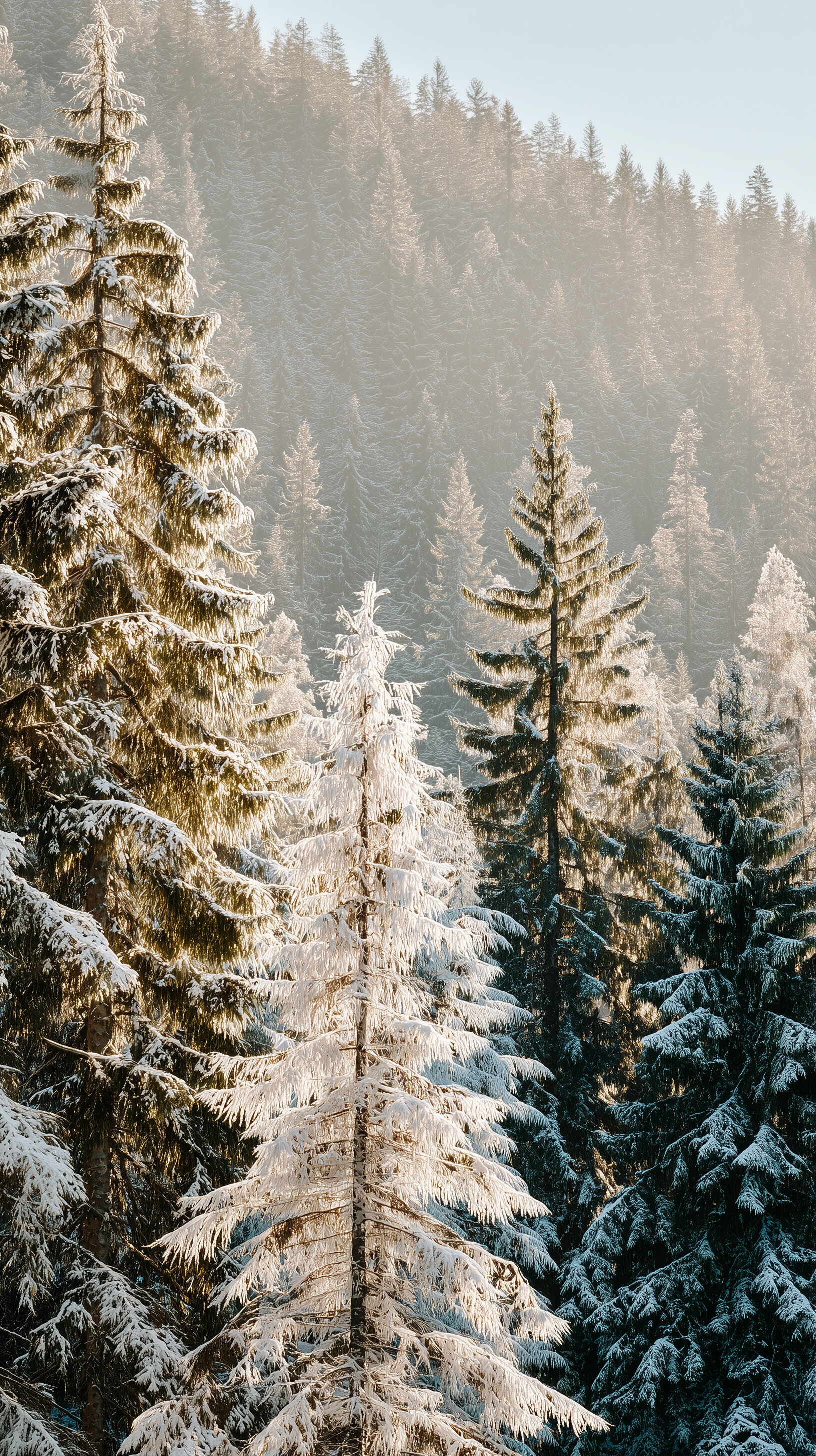 Фото Ays Design Hotel