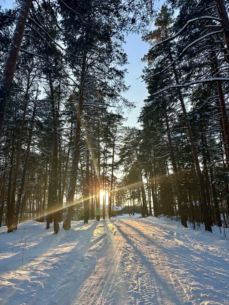 Фото Янтарь
