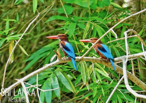 Внешний вид отеля Waterland в Кочикаде, фото 5