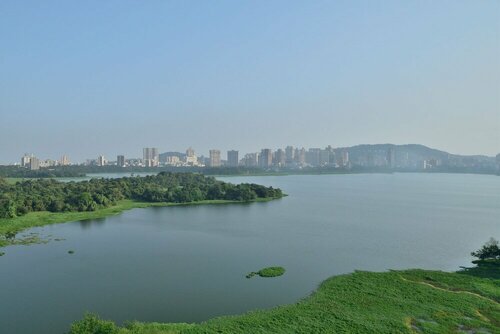 Гостиница The Westin Mumbai Powai Lake в Мумбаи