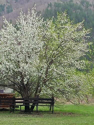 Усадьба Аксай фото 9