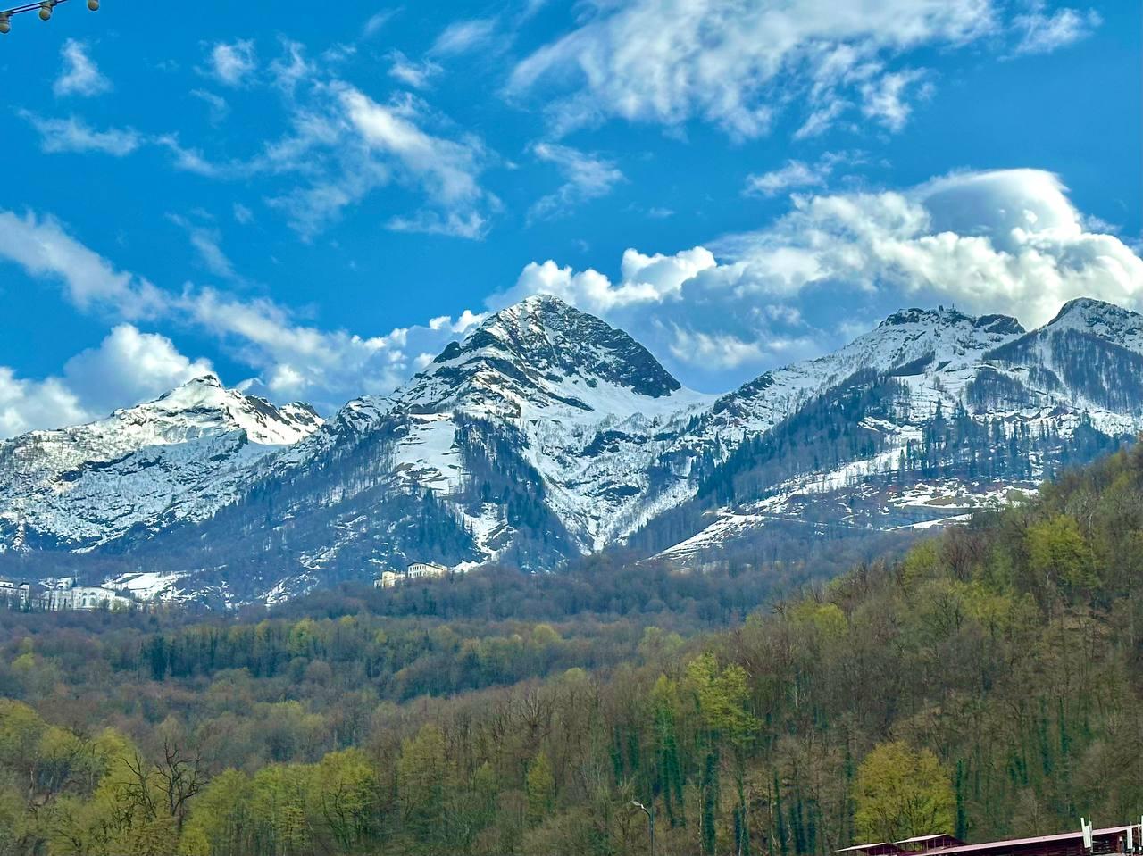 Фото Саквояж