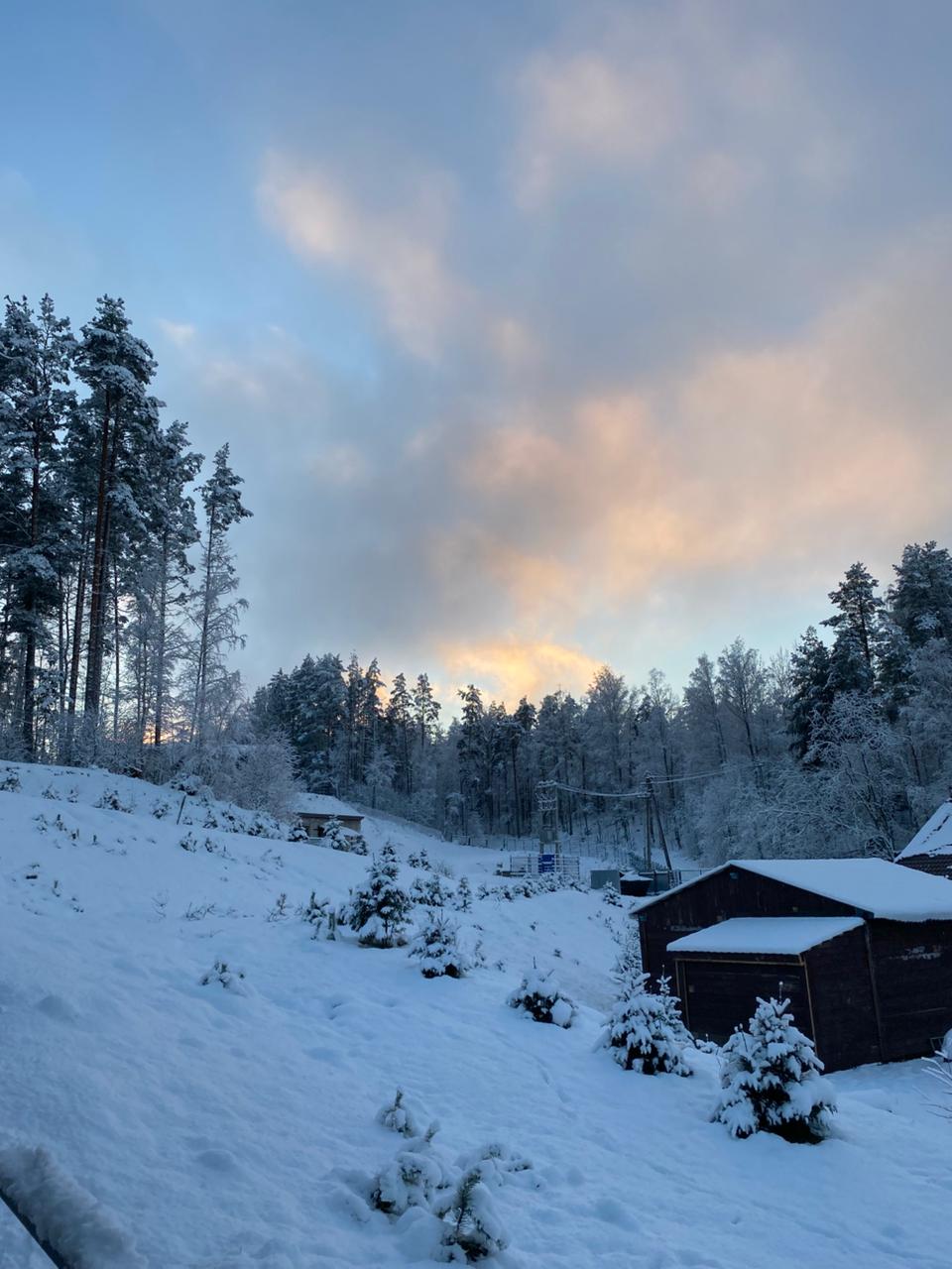 Фото Спартак