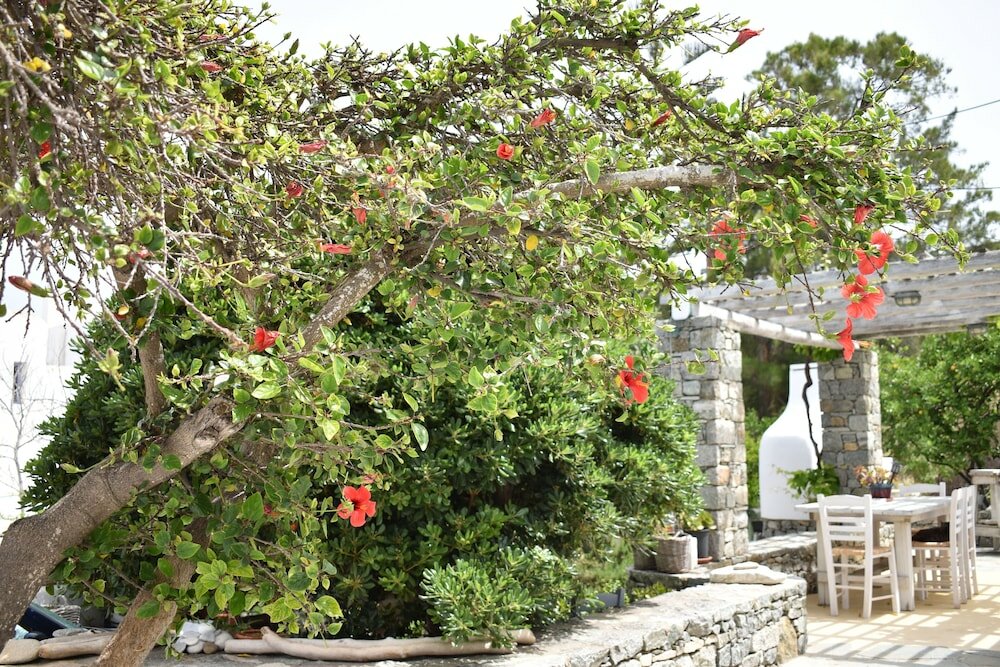 Фото Andriani'S Guest House