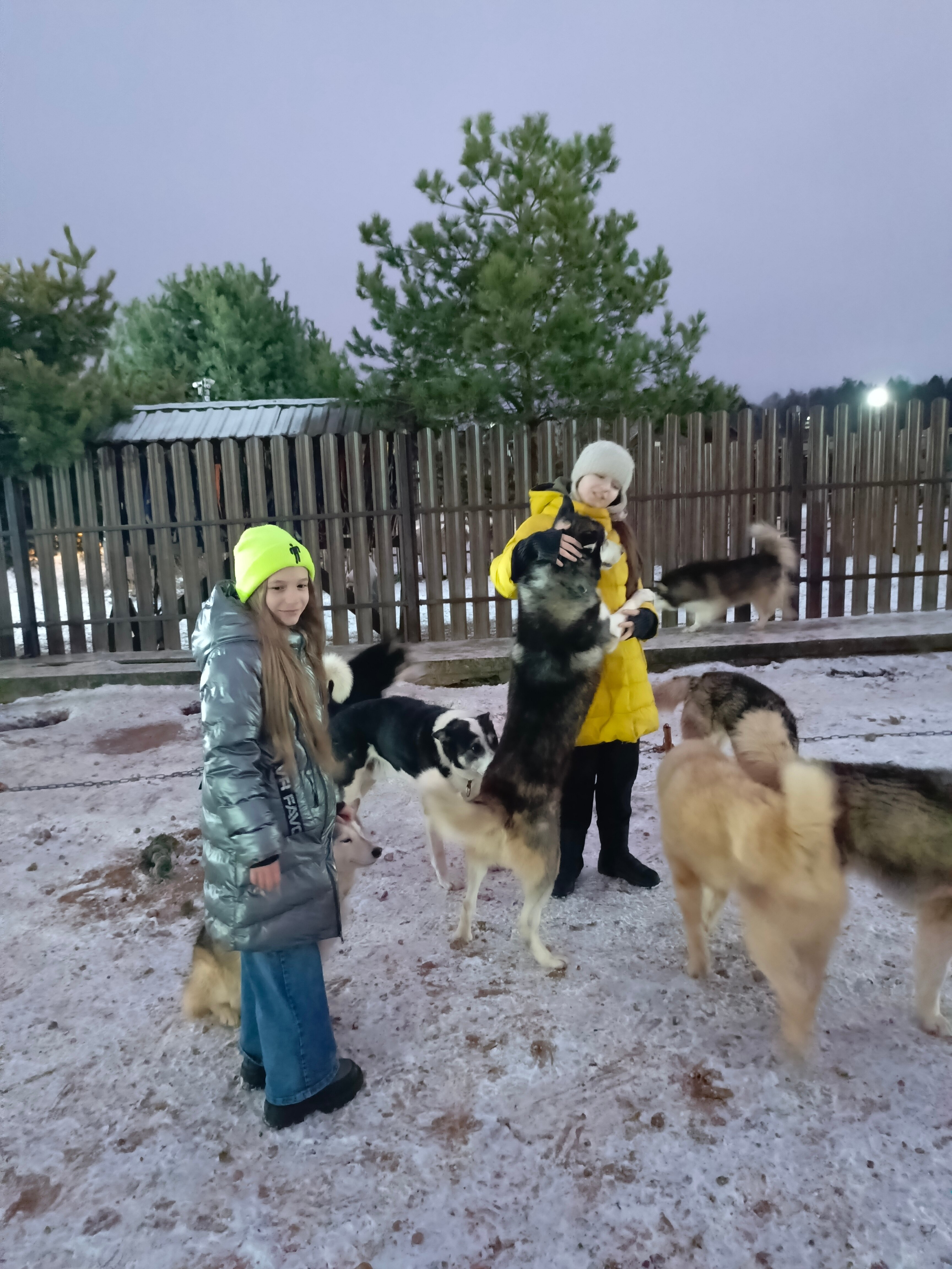 Фото Рузская Аляска