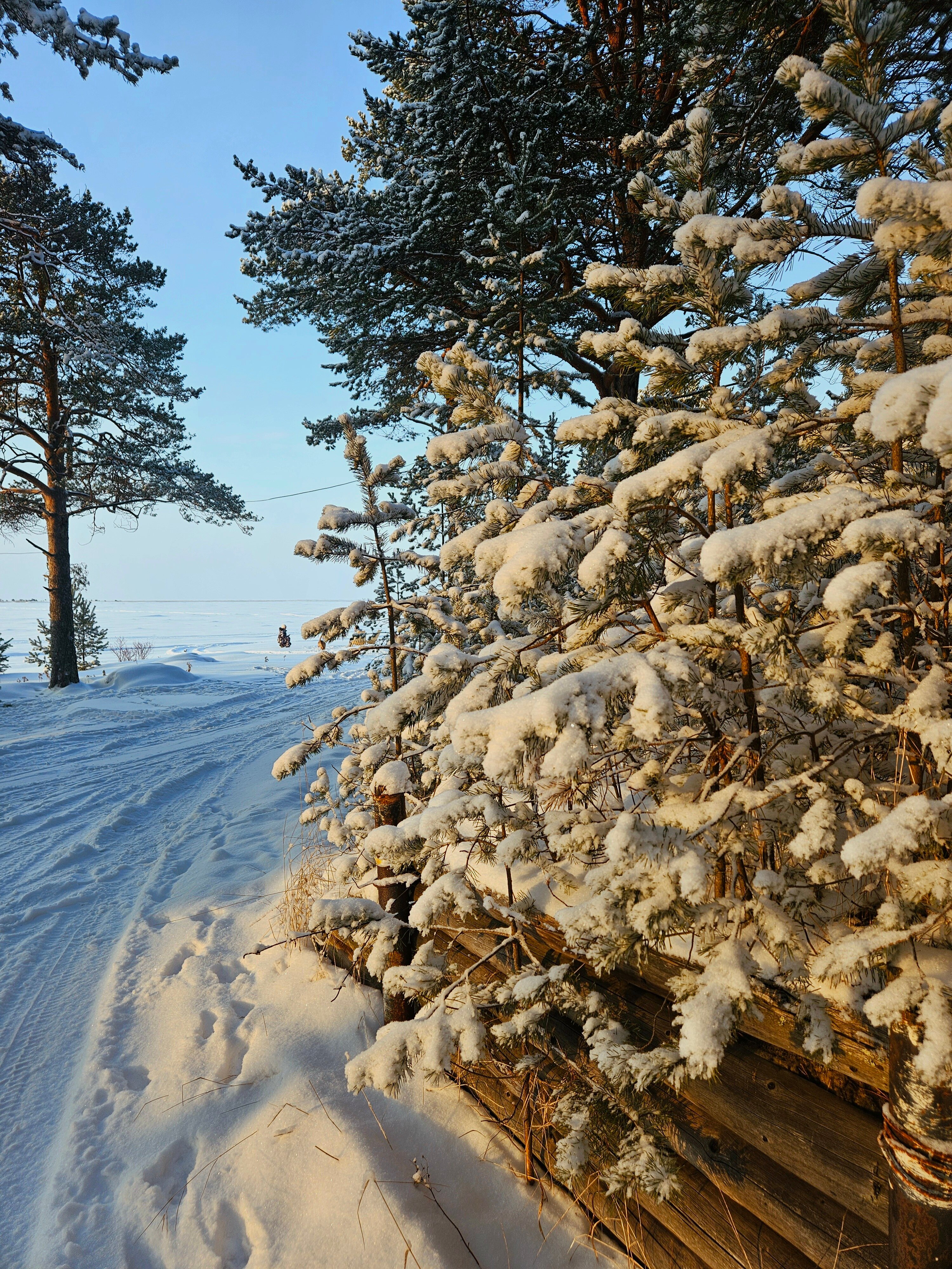 Фото Яндова губа