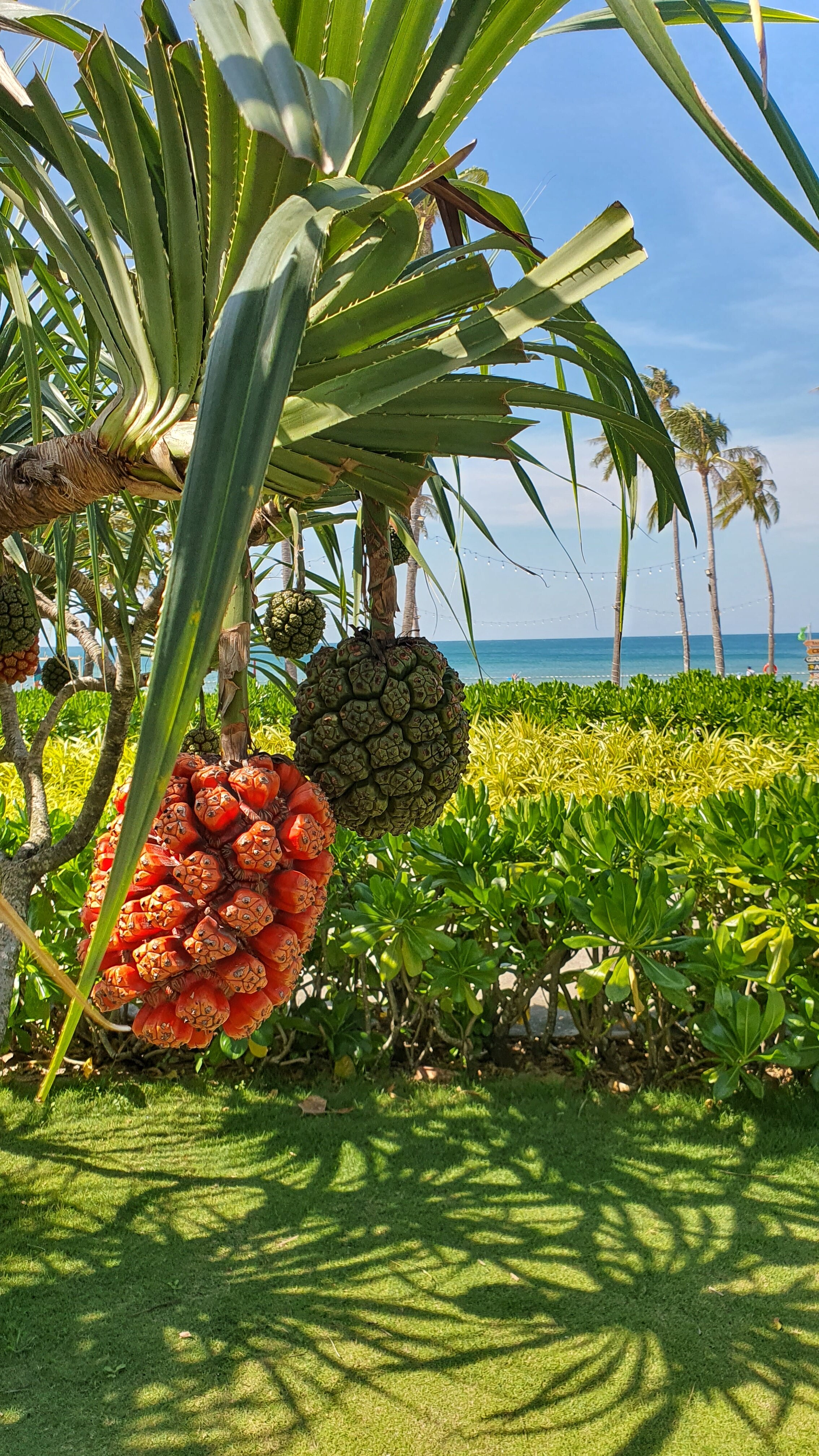 Фото Pullman Phu Quoc Beach Resort