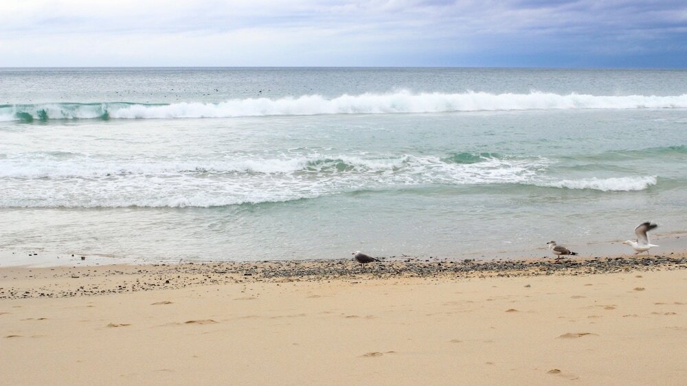 Фото Отель Monterey Beach
