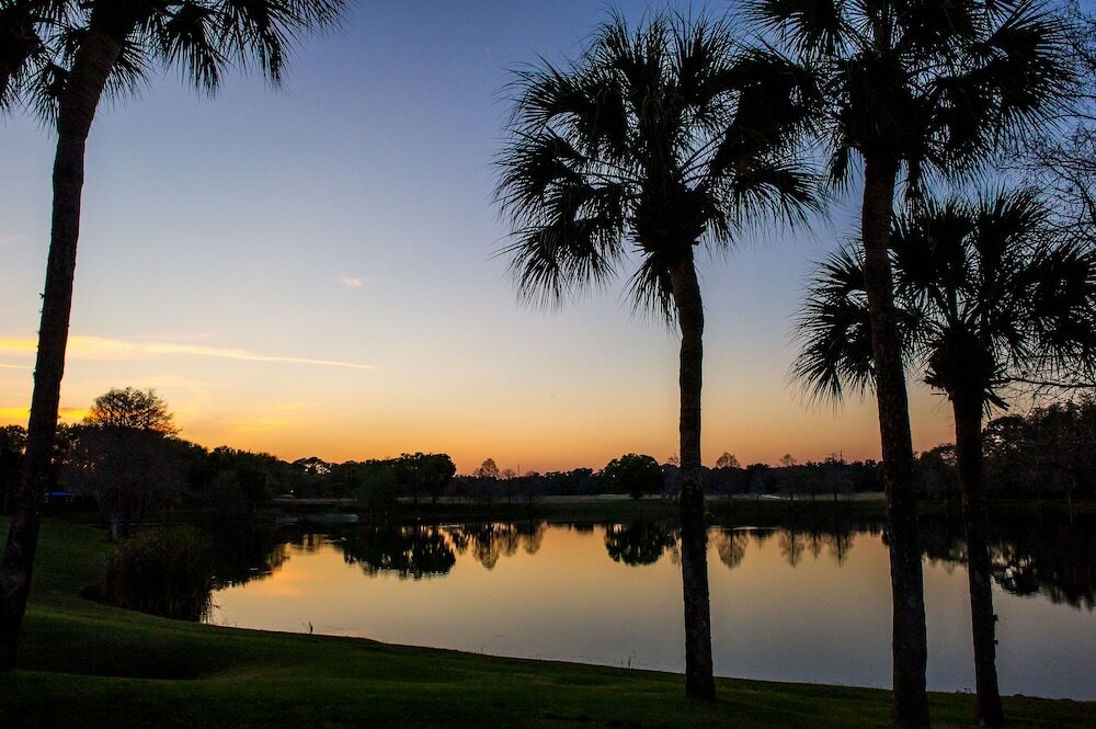 Фото Hyatt Regency Grand Cypress Resort