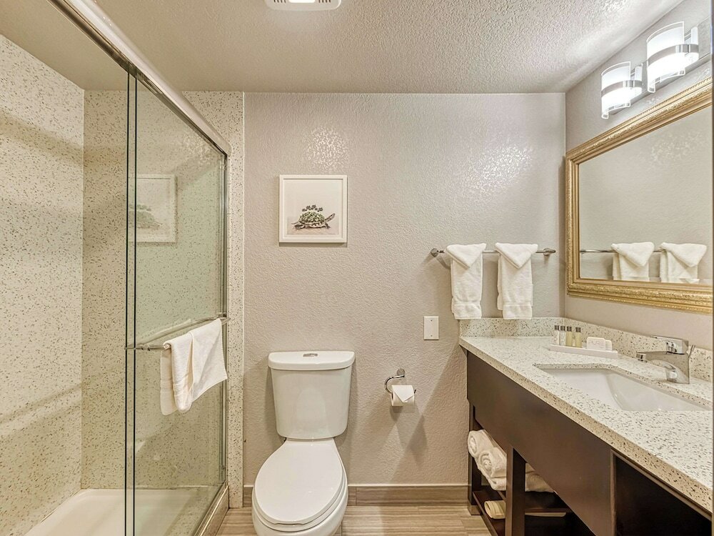 Фото Amanzi Hotel, Ascend Hotel Collection