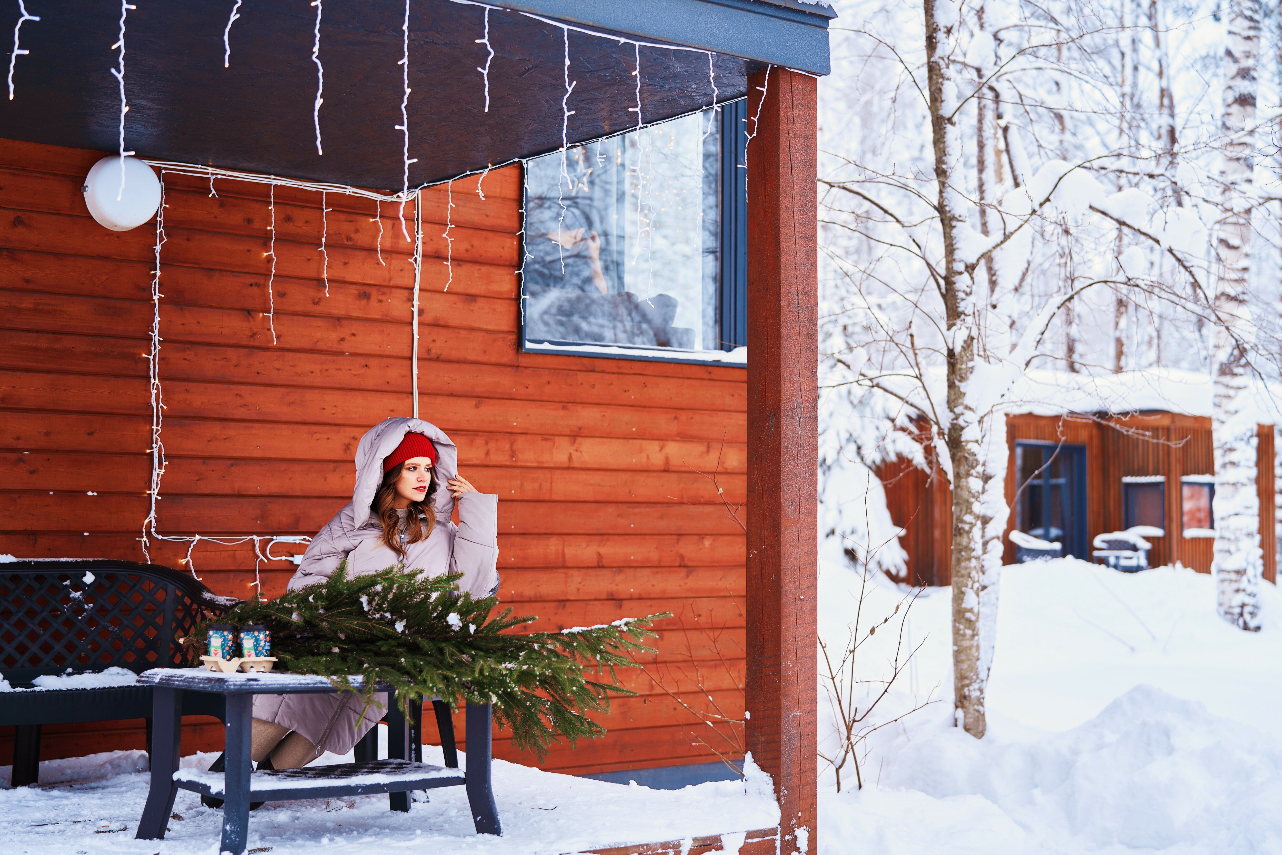 Фото Черника