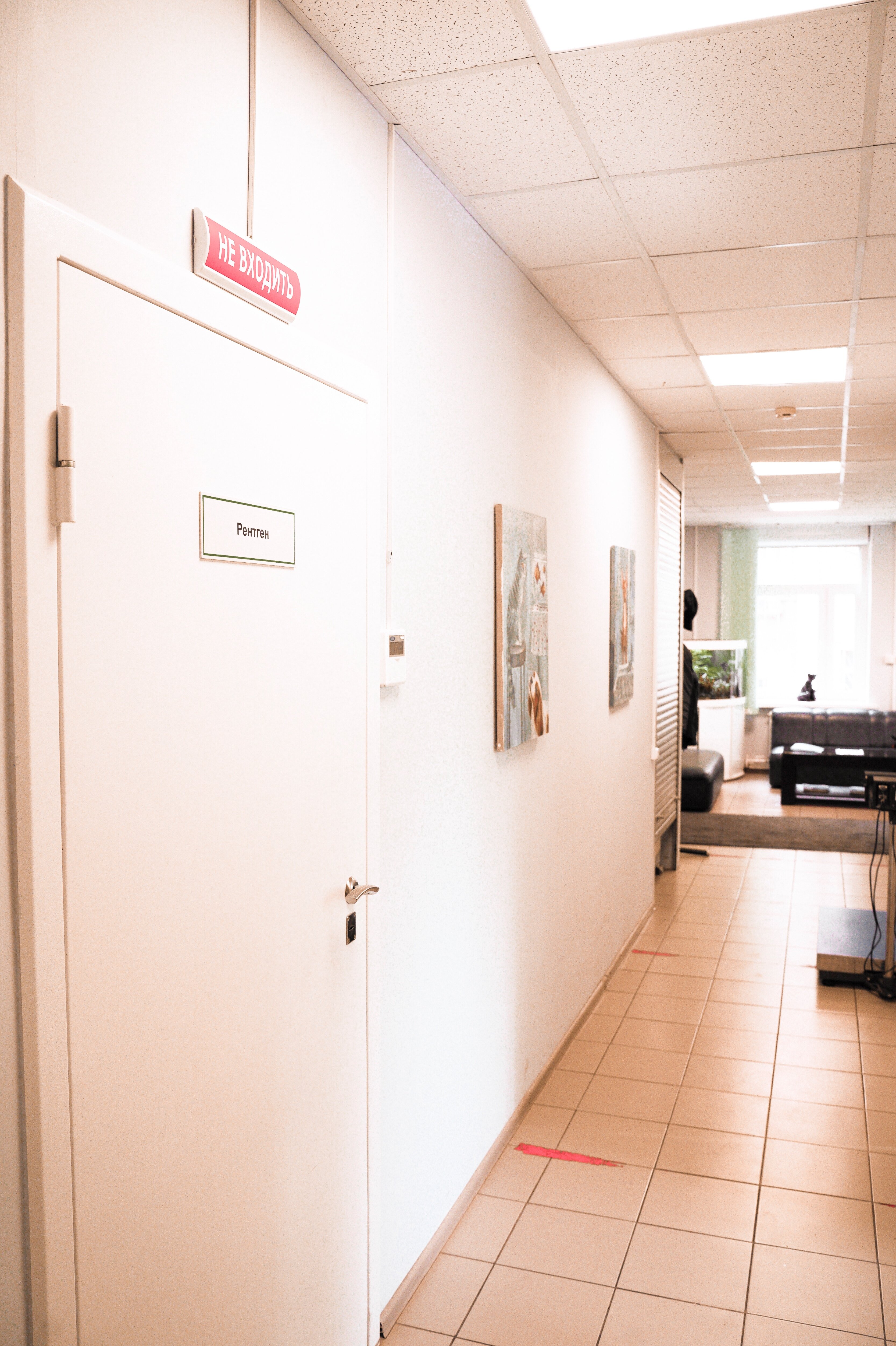 Сова - фото 3