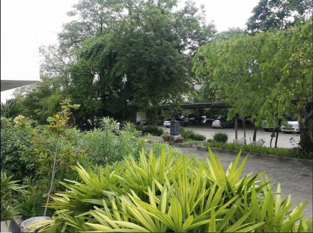 Фото The Park Hotel Pattaya