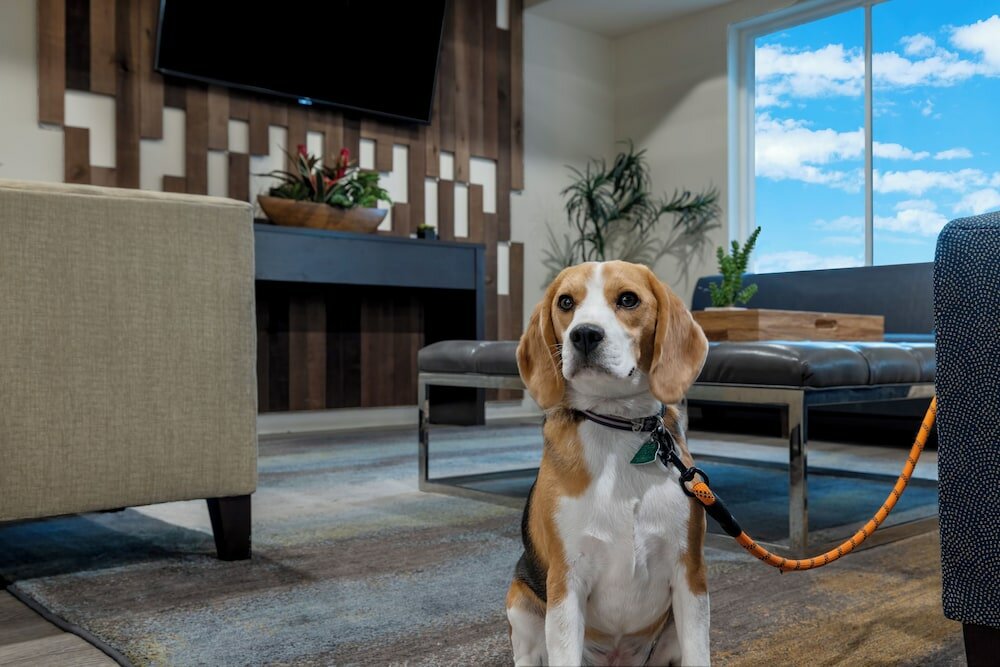 Фото WaterWalk Hotel Dallas-Las Colinas