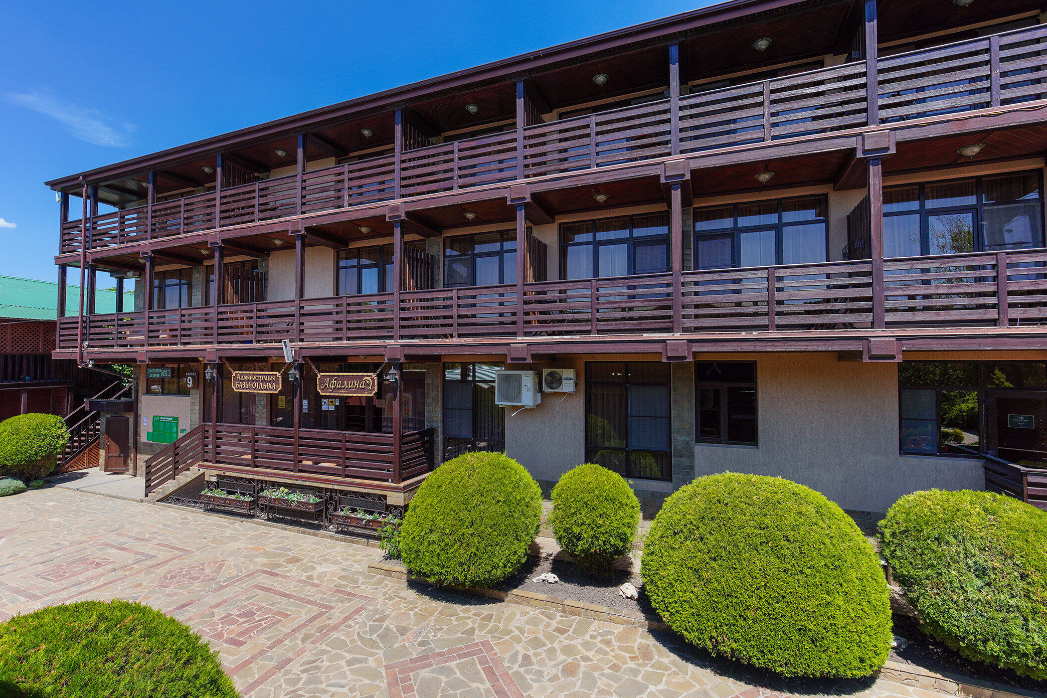 Фото Афалина