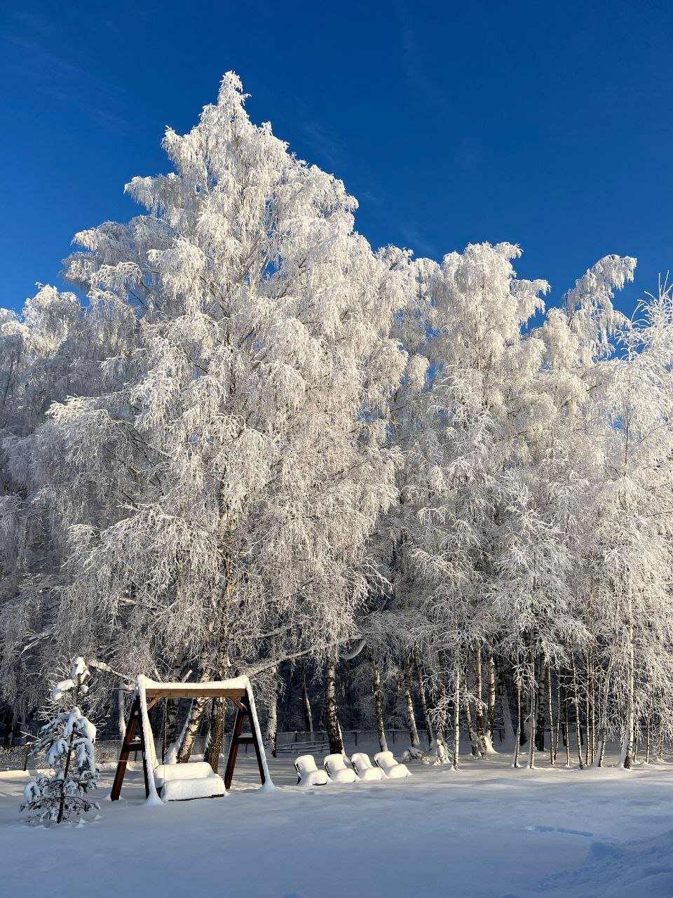 Фото Дубль Дачи Капитан