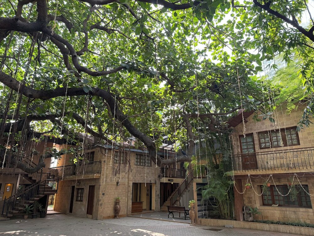 Фото Hotel Beach Garden