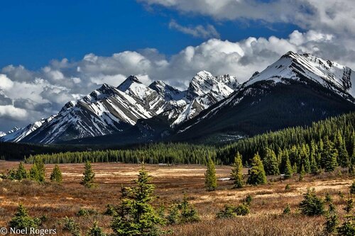 Внешний вид отеля Mount Engadine Lodge в Районе улучшенем Канаваскисе, фото 4