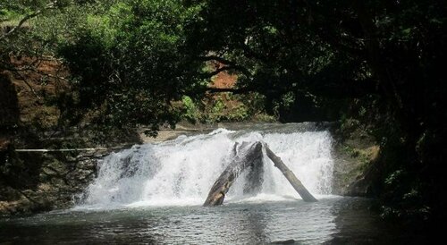Хостел Waterfall Hostel в Бокас-дель-Торо