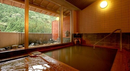 Гостиница Akagi Onsen Hananoyado Yunosawakan в Префектуре Гумма