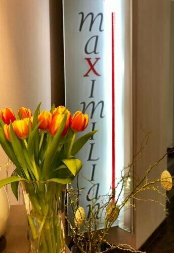Гостиница Hotel Garni Maximilian в Дингольфинге