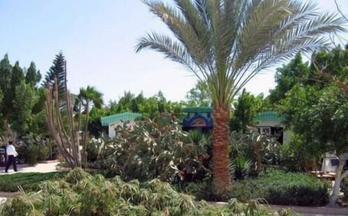 Гостиница Ghazala Beach в Наама Бей