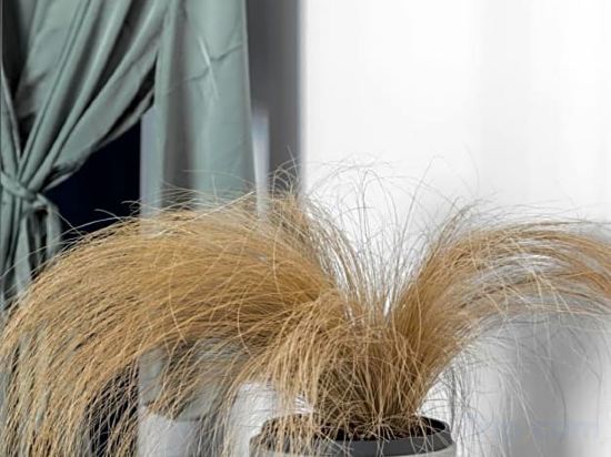 Фото Play Theatrou Athens