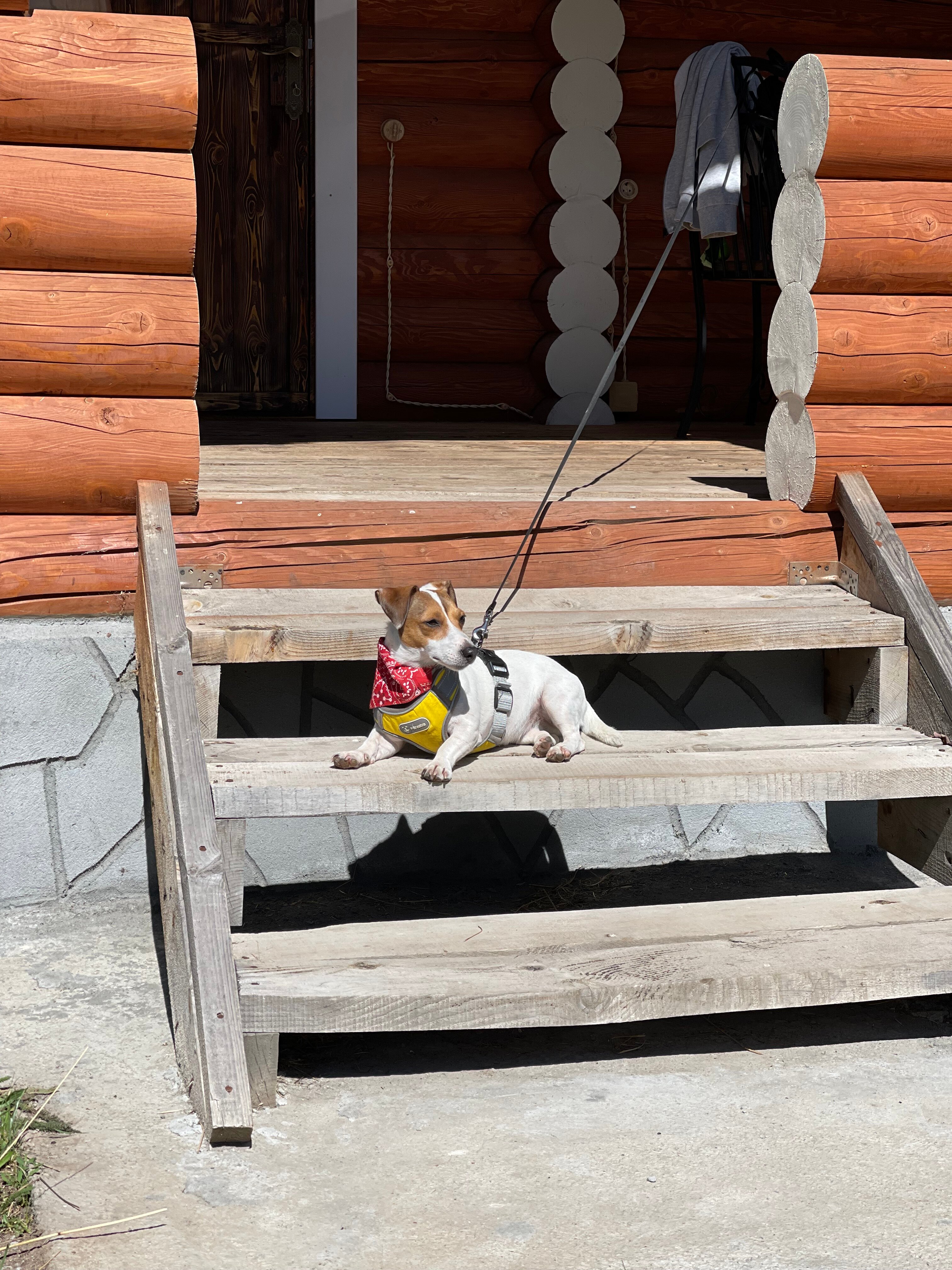 Фото Orange Village Теберда