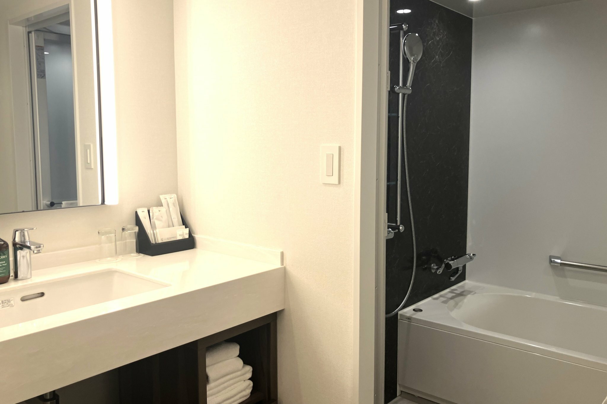 Фото Ana Crowne Plaza Sapporo