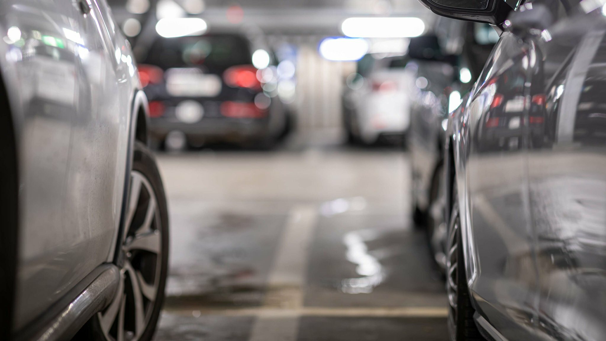 Фото The niu Franz