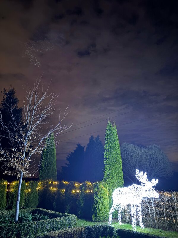 Скворечник в Грачевке — фото 16