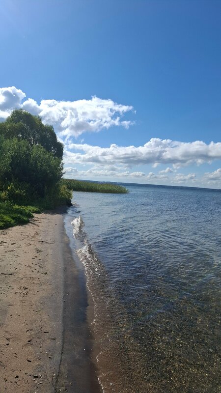 Гордеева дача — фото 15