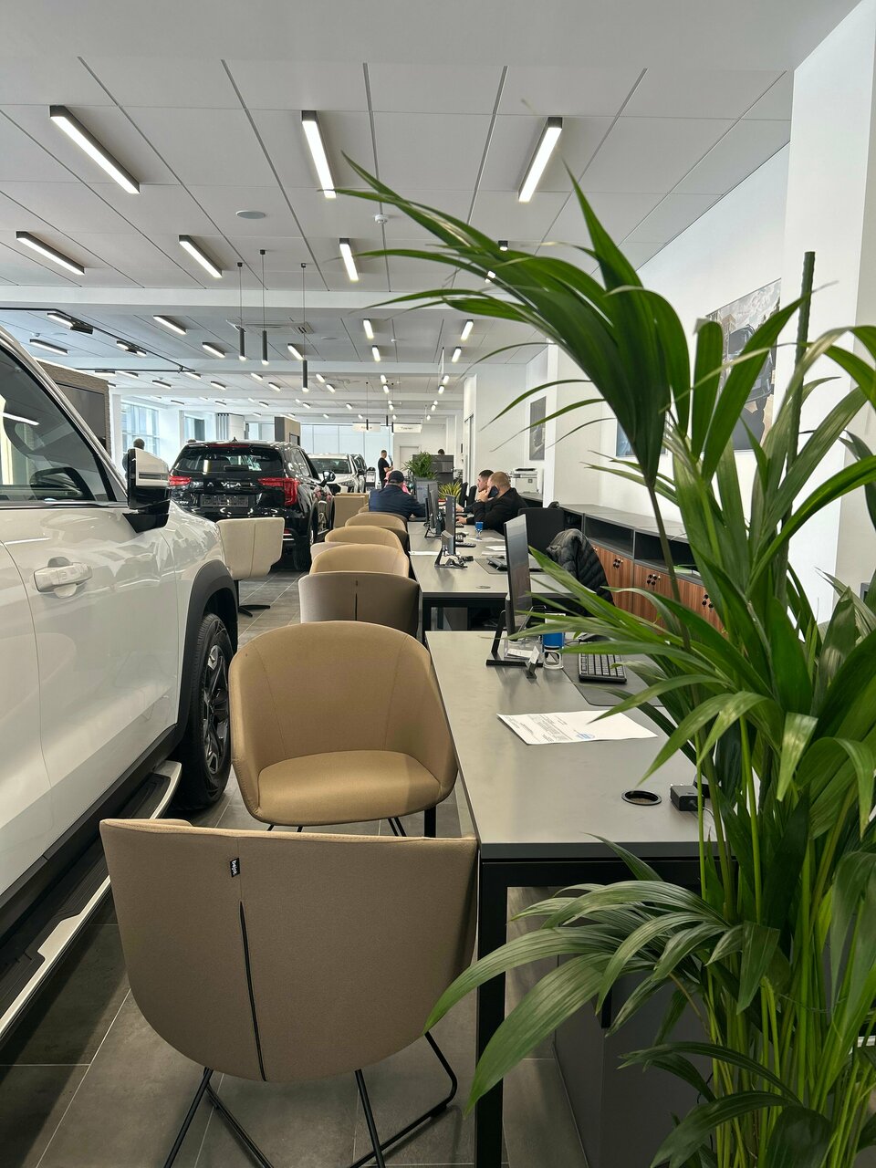 photo Haval, Оптима
