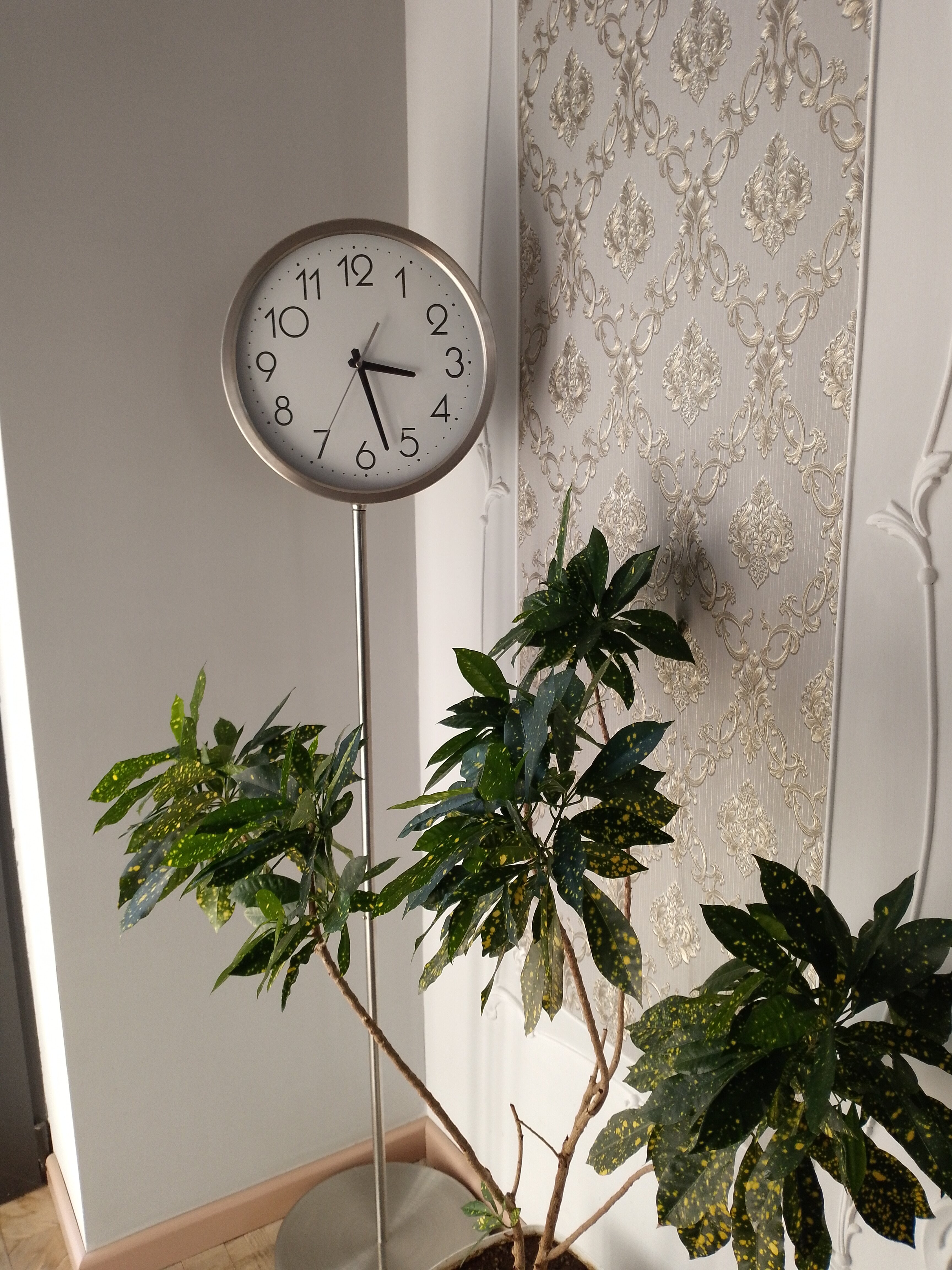 Фото Джинджотель