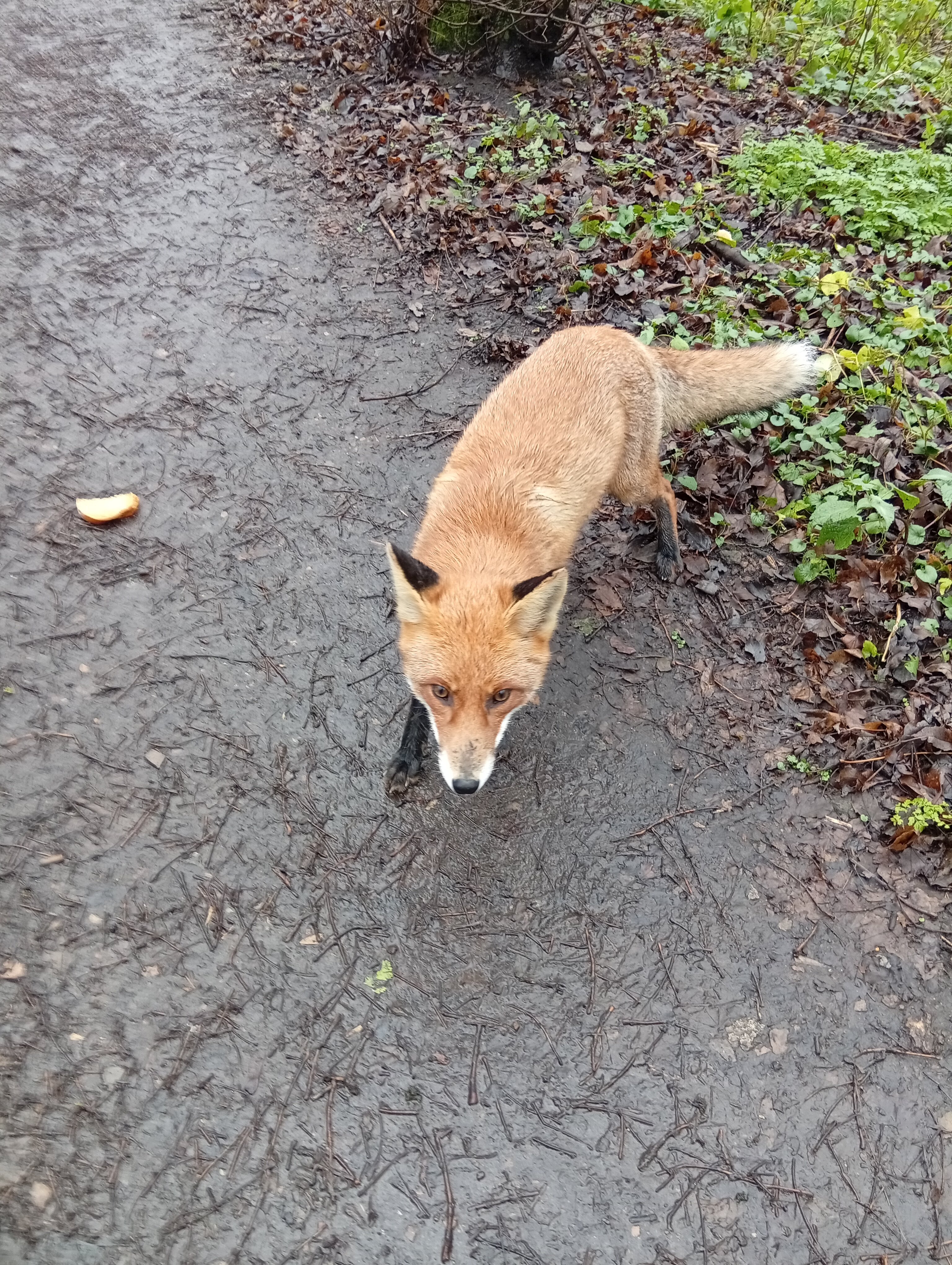 Фото Бештау