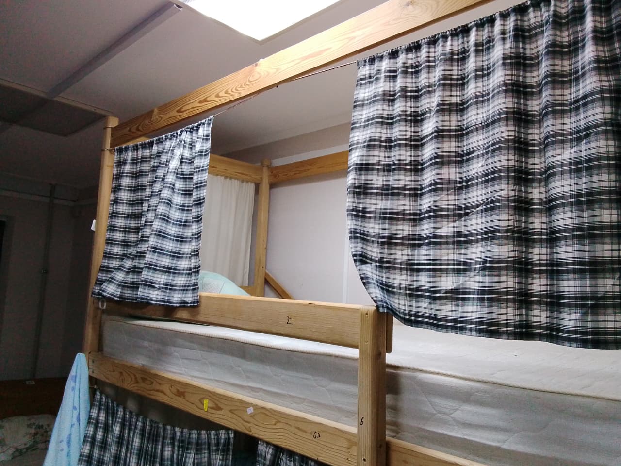 Фото Клевер