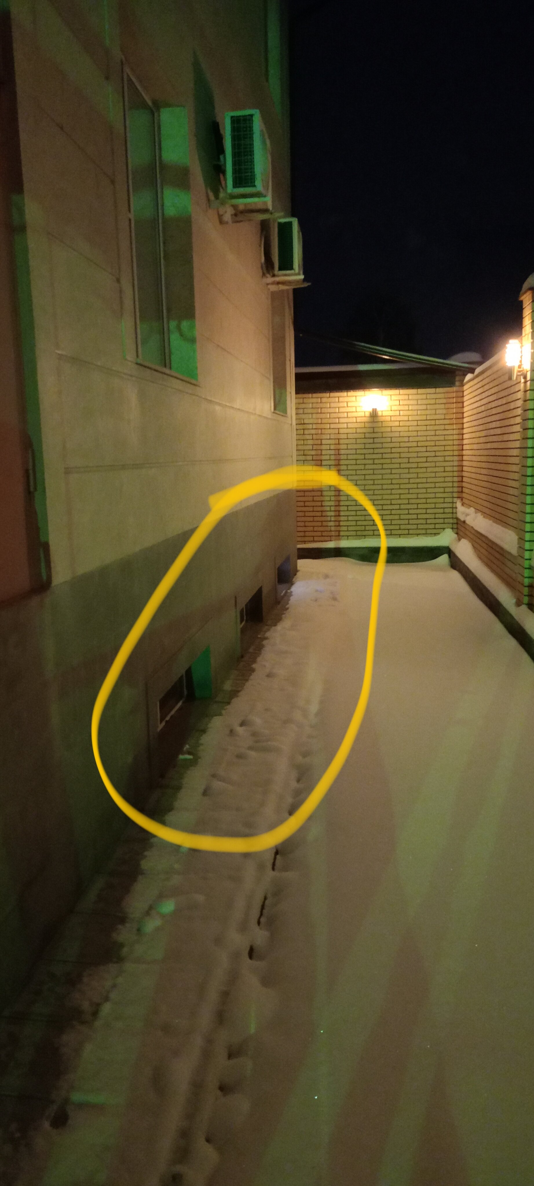 Фото Корона