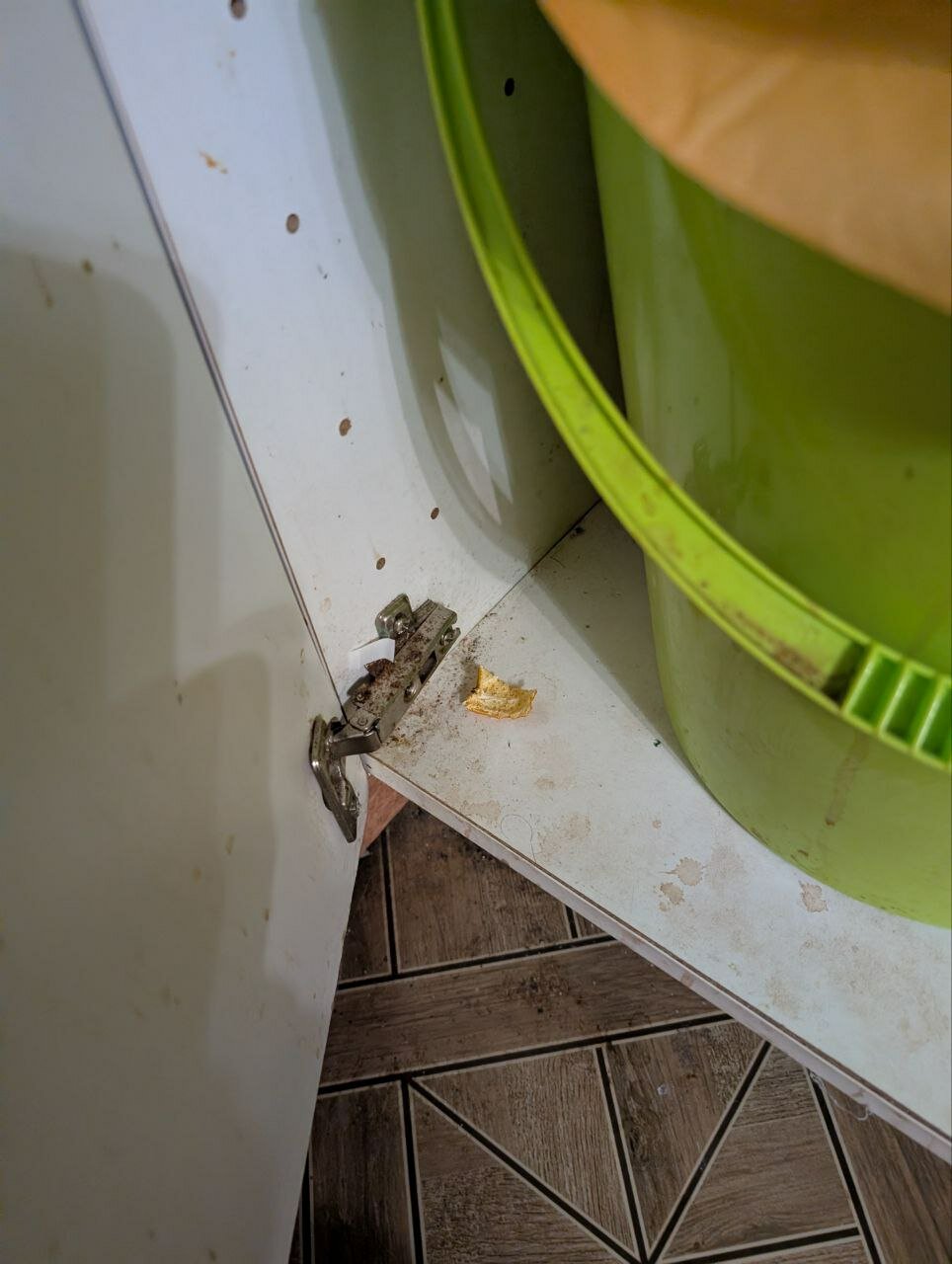 Фото Маришкин дом