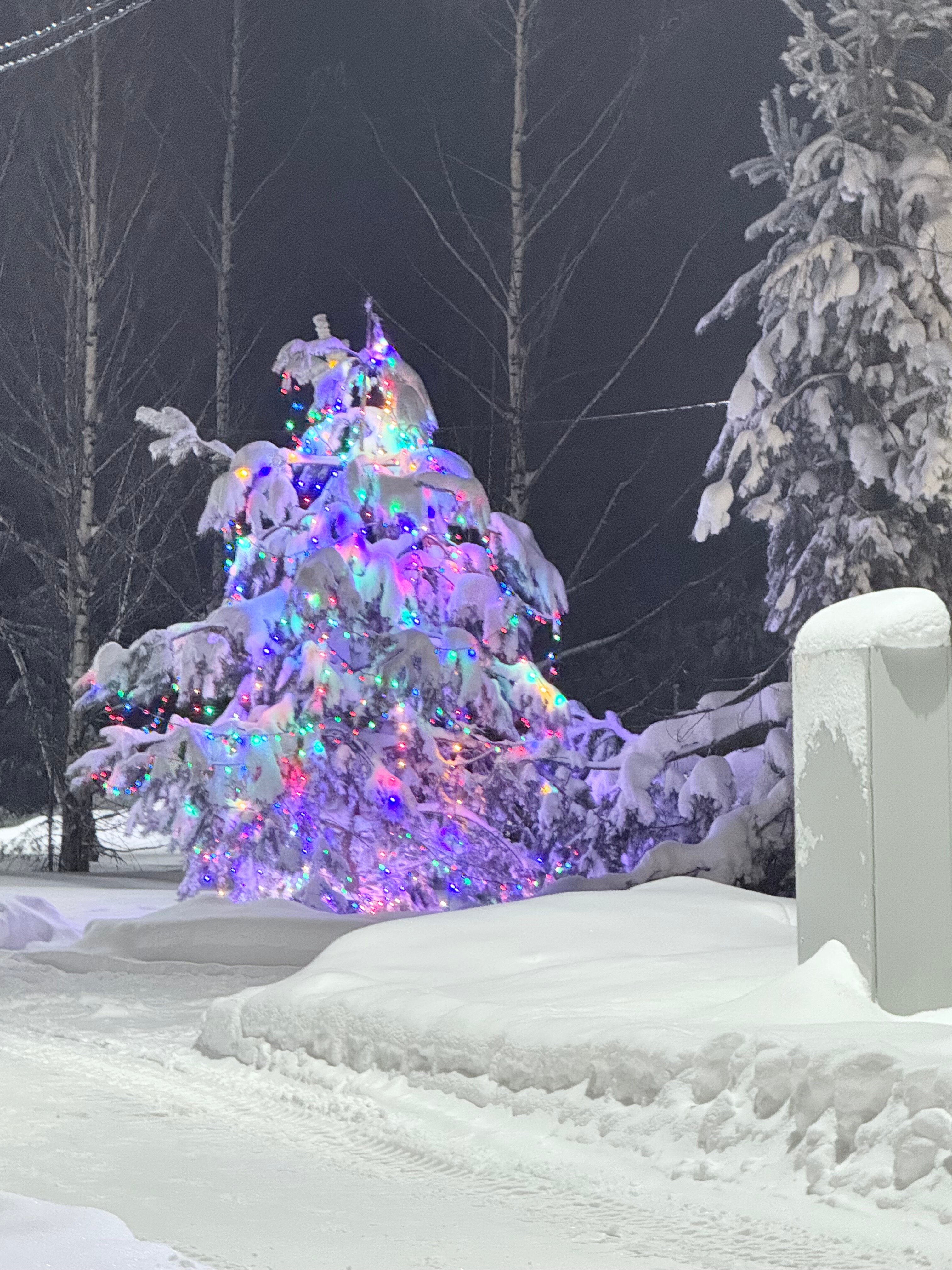 Фото Экополис