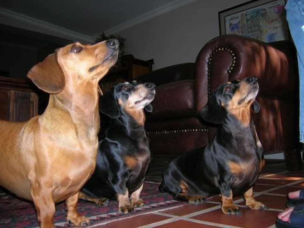 Фото The Old Trading Post - Guest House