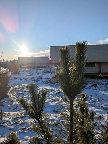 Дом отдыха Носороги в Тверской области