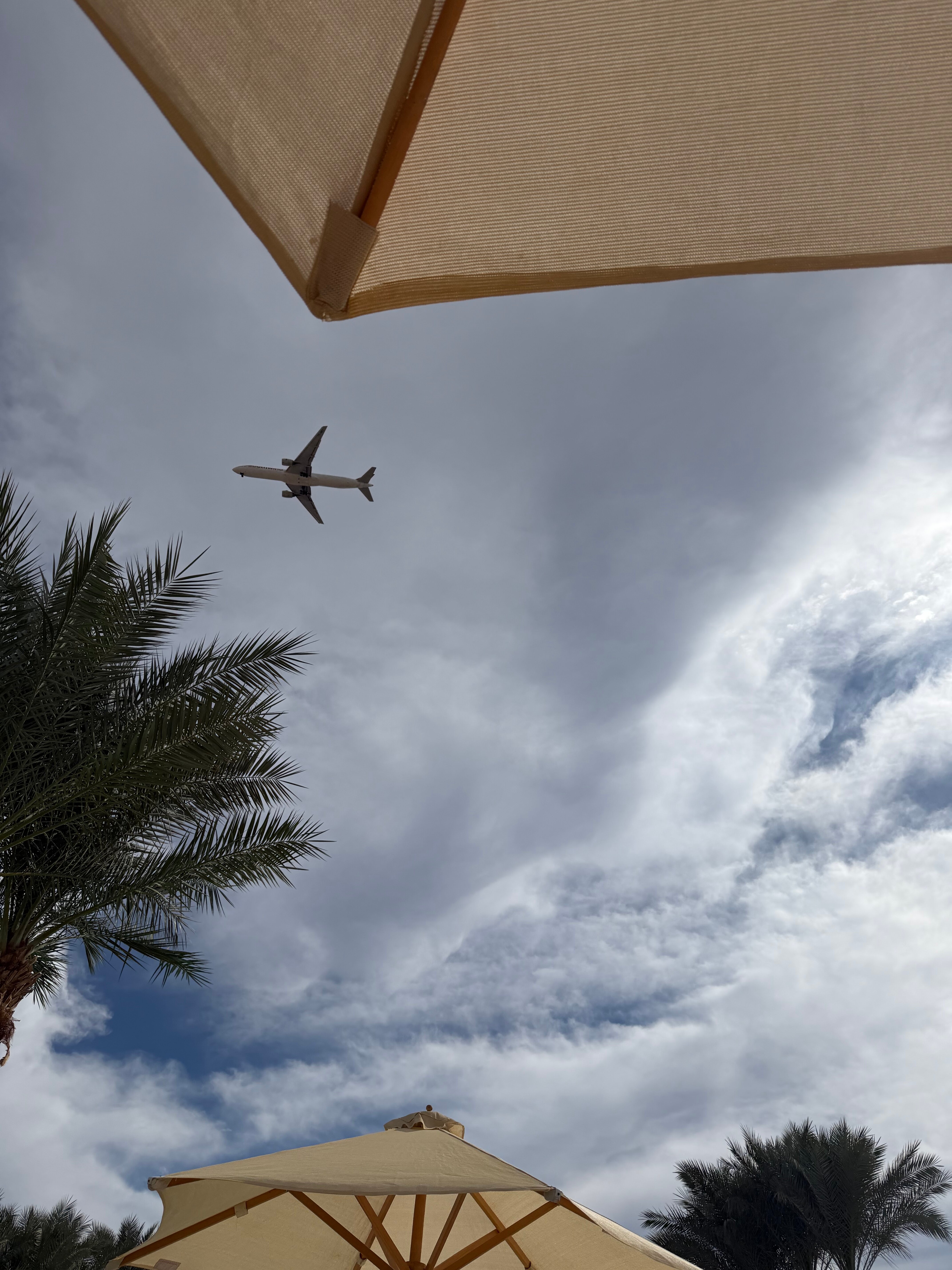 Фото Swissotel Sharm El Sheikh All-Inclusive Collection Resort