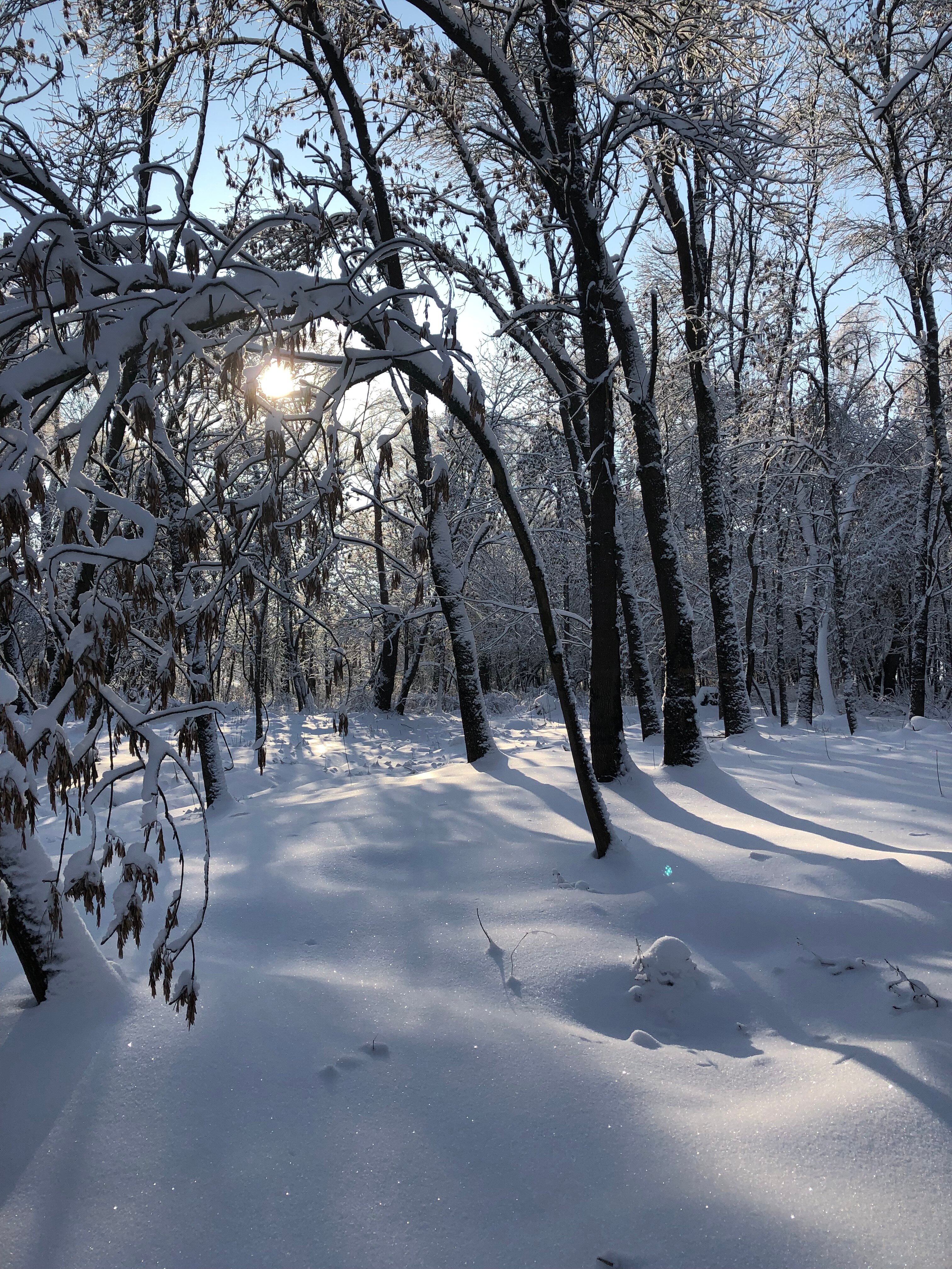 Фото Дом у озера