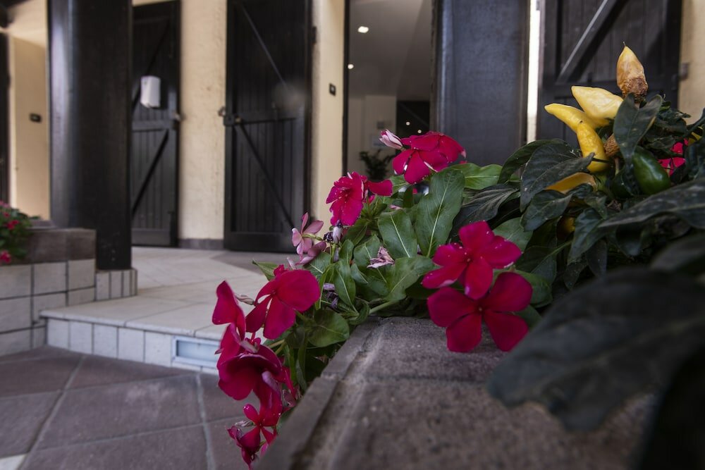 Фото Hotel Calabona