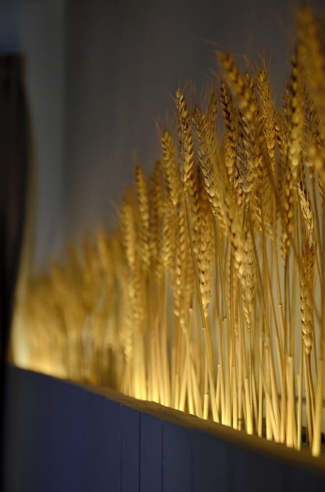 Фото Hotel Maison Soleil