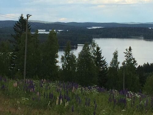 Гостиница Hiihtokeskus Riihivuori в Кески-Суоми