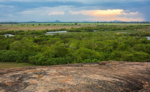 Внешний вид отеля The Spice Trail в Аругам-Бее, фото 4