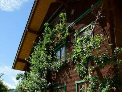 Гостиница Zauchtaler Hof во Флахау